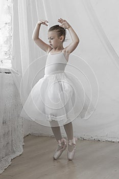Cute little ballerina posing in classical tutu