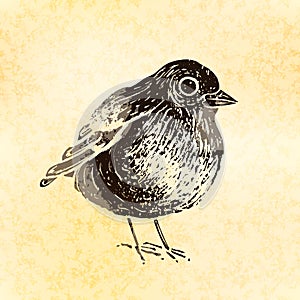 Cute little bird in linocut retro style, vintage silhouette of bird on old paper