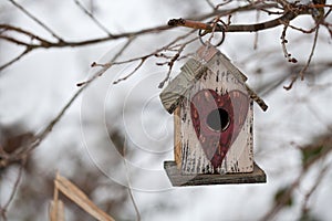 Cute little birdhouse with heart