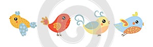 Cute Little Birdie with Colorful Feather Vector Set photo