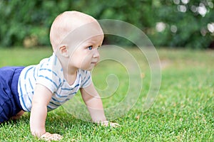 Cute little blond baby boy crawling on fresh green grass. Kid having fun making first steps on mowed natural lawn. Happy and healt
