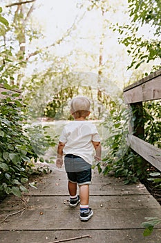 Cute Little Blond Boy Kid Walking on Tiny Wooden Bridge Outside at the Park while Exploring on an Adventure in New York Summer