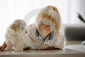 Cute little blond child, toddler boy, playing with white puppy maltese dog