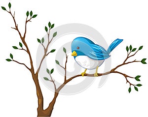 Cute little blue bird on the branch of tree