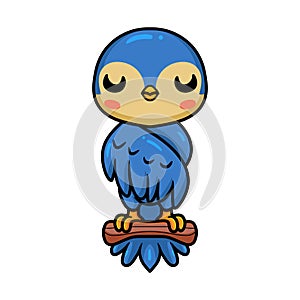 Cute little blue bird cartoon on tree