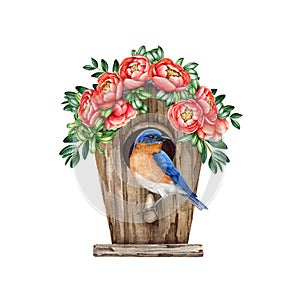 Cute little bluebird on the birdhouse with spring floral decor. Watercolor vintage style illustration. Cozy spring