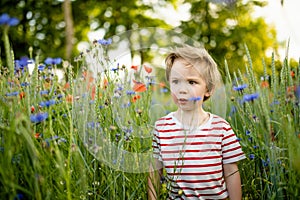 Cute little boy admiring poppy and knapweed flowers in blossoming poppy field on sunny summer day