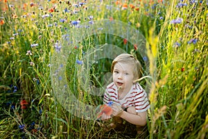 Cute little boy admiring poppy and knapweed flowers in blossoming poppy field on sunny summer day