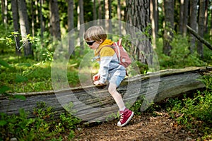 Cute little boy with a backpack having fun outdoors on sunny summer day. Child exploring nature. Kid going on a trip