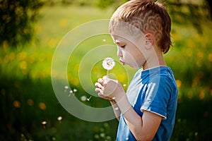 Cute little boy blowing dandelion in spring garden. Springtime