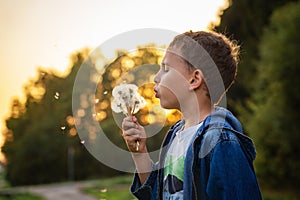 Cute little boy blows on a dandelion at a summer sunset