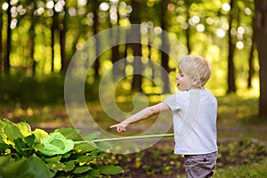 Cute little boy catches butterflies with scoop-net on sunny meadow.Study of nature. Young naturalist