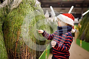 Cute little boy chooses christmas tree on market. Family Christmas shopping