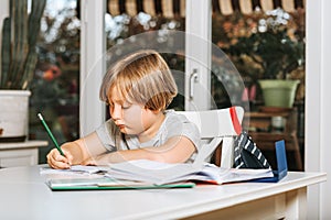 Cute little boy doing homework for school