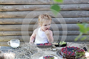 Cute little boy eats berries