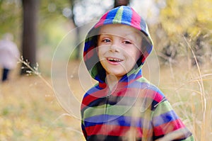 Cute little boy enjoying autumnal nature. Portrait of boy in Autumn Woods.