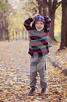 Cute little boy enjoying autumnal nature. Portrait of boy in Autumn Woods.