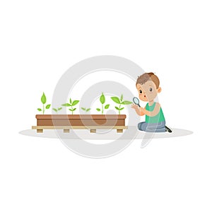 Cute little boy examining plants through a magnifying glass, lesson of botany in kindergarten cartoon vector