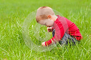 Cute little boy exploring the nature