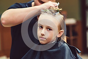 Cute little boy getting haircut by hairdresser at the barbershop