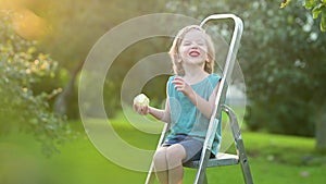 Cute little boy helping to harvest apples in apple tree orchard in summer day