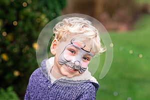 Cute little boy with his face painted