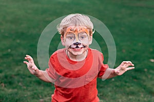 Cute little boy with his face painted