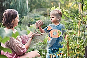 Cute little boy with his mother gathering ripe black tomato in the vegetable garden. Summer rest. Happy childhood.