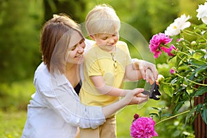 Cute little boy with his young mother working together with secateur in domestic garden. Floriculture, gardening, small business.