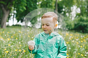 Cute little boy holding dandelion on meadow