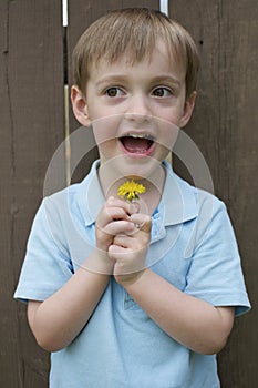 Cute Little Boy Holding Little Flower