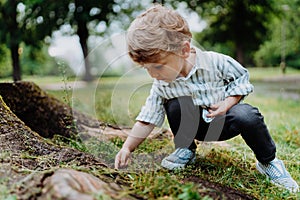 Cute little boy looking for, observing bugs in public park.