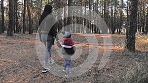 Cute little boy and mother during the walk in nature. Family walking towards a forest. Motherhood. Mothers Day.