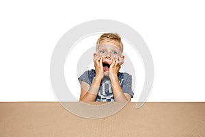 Cute little boy opening the biggest postal package