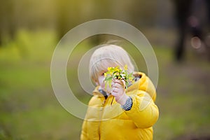 Cute little boy pick wild flowers in park