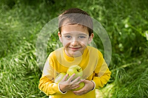 Cute little boy picking apples in a green grass background at sunny day. Healthy nutrition.