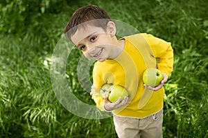 Cute little boy picking apples in a green grass background at sunny day. Healthy nutrition.