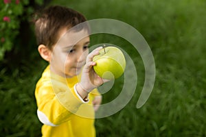 Cute little boy picking apples in a green grass background at sunny day. Healthy nutrition.