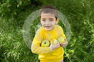 Cute little boy picking apples in a green grass background at sunny day. Healthy nutrition