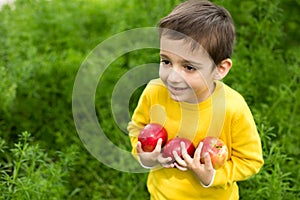 Cute little boy picking apples in a green grass background at sunny day. Healthy nutrition