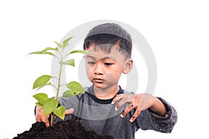 Cute little boy planting tree