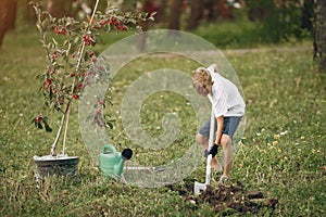 Cute little boy planting a tree on a park