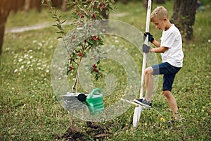 Cute little boy planting a tree on a park