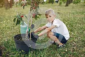 Cute little boy planting a tree on a park