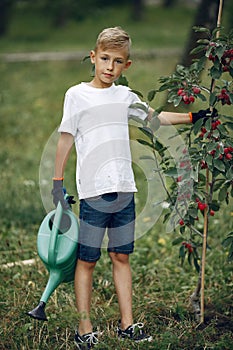 Cute little boy planting a tree on a park