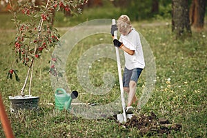 Cute little boy planting a tree on a park