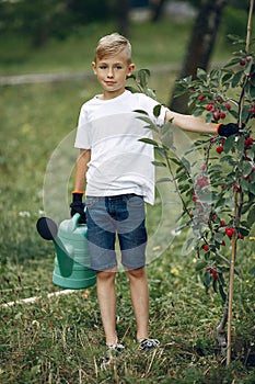 Cute little boy planting a tree on a park