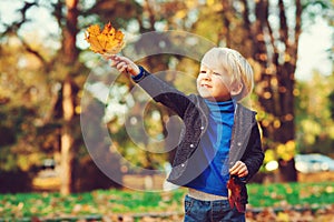 Cute little boy playing with maple leaves outdoors. Happy child walking in autumn park. Autumn weather