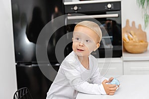 A cute little boy. Portrait of a child in the kitchen