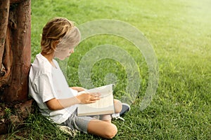 Cute little boy reading book on green grass near tree in park